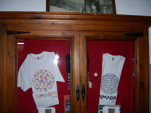 entradapalaciofucares5